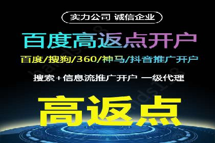 揭秘百度竞价代理：实战案例分析