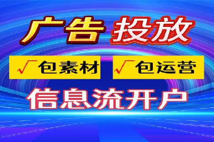 搜索引擎优化（SEO）与竞价广告（SEM）的对比案例